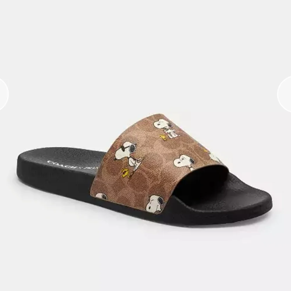 Coach Slides - Picture 1 of 4